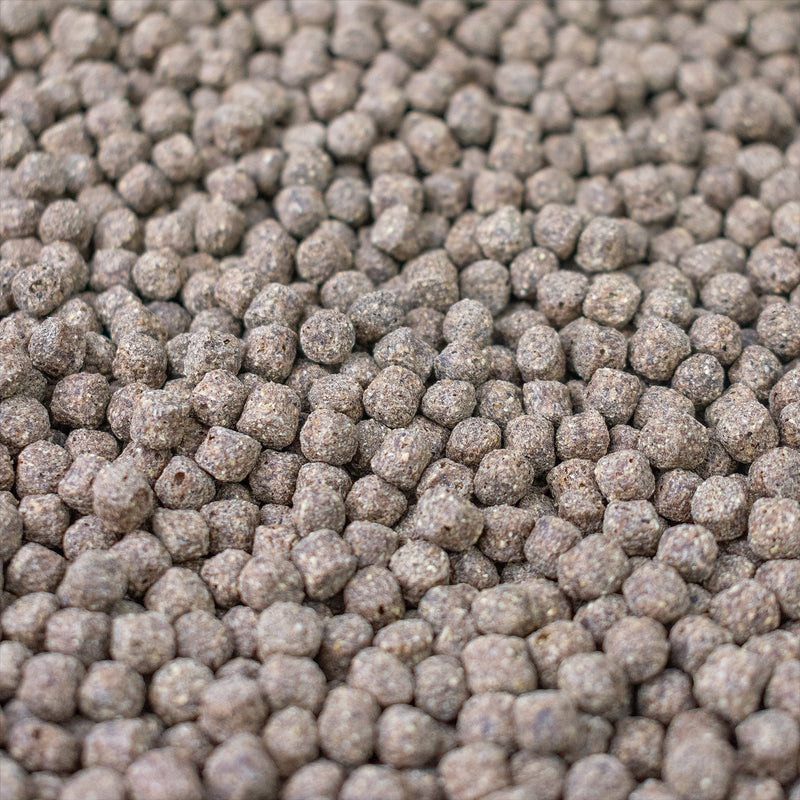Evolution Aqua Premier Pond Pellet Fish Food