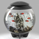 Oase biOrb Ornament Medium Starfish On Rock