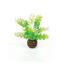 Oase biOrb Green Caulerpa Aquarium Decoration