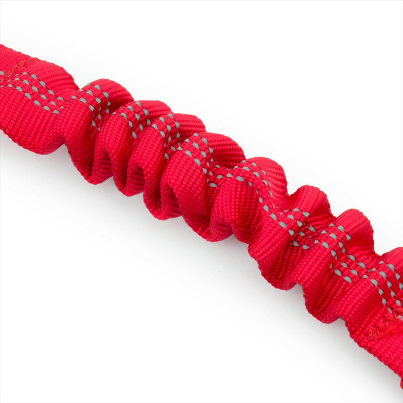 Anti Shock Dog Seat Belt Clips