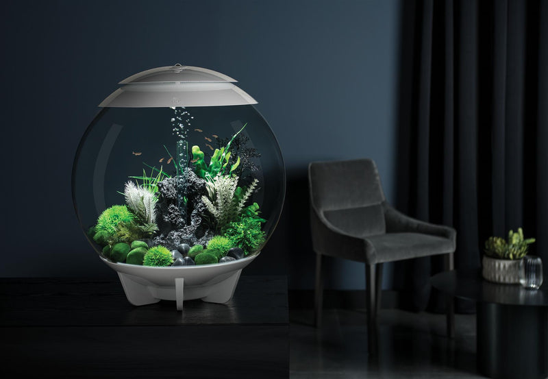 biOrb Halo 60L White Aquarium with MCR LED Lighting