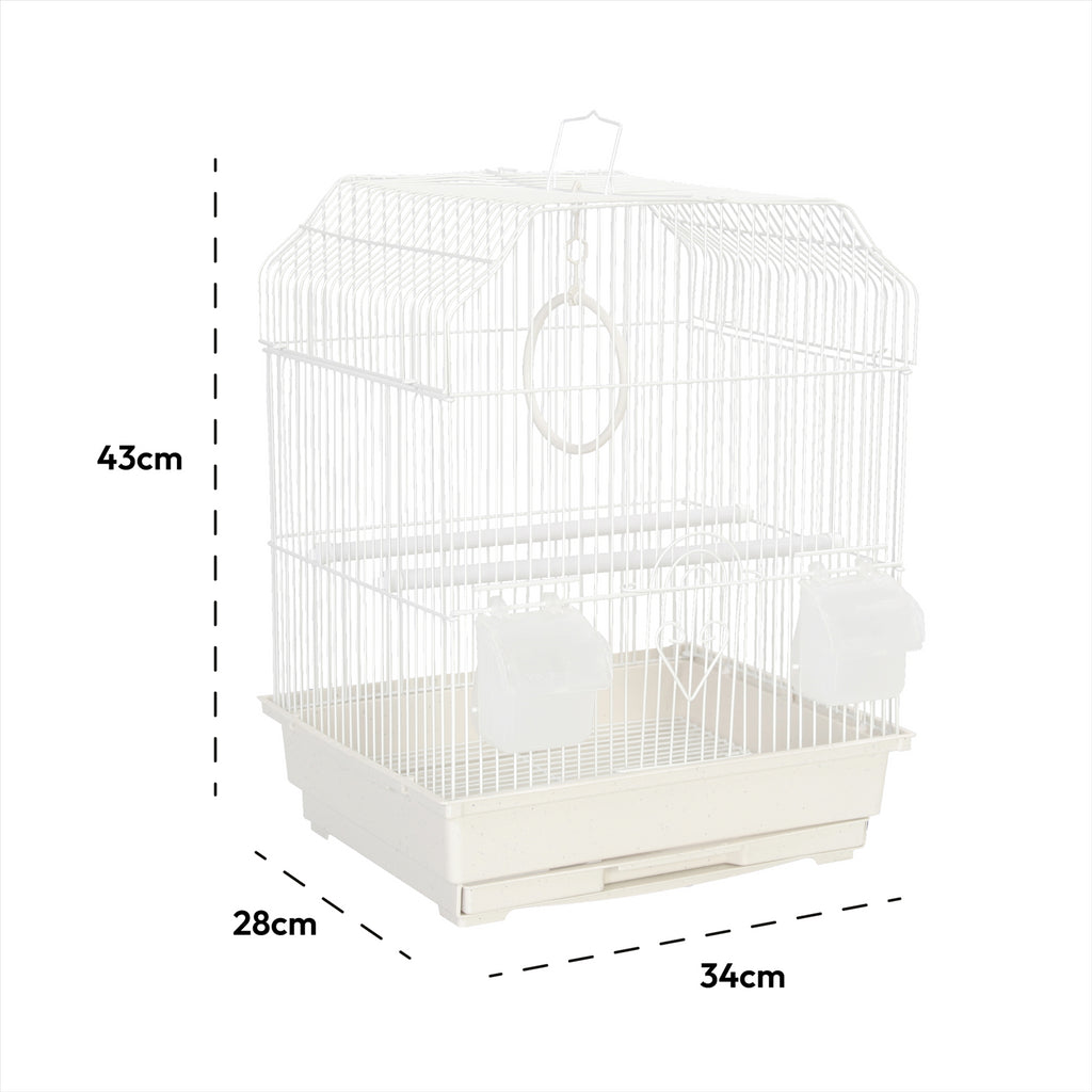 Exotic shop pet cages