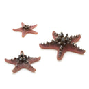 Oase biOrb Sea Stars 3 Pack Aquarium Decoration