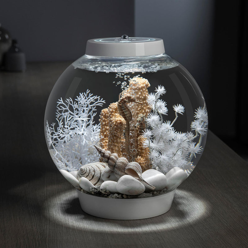 biOrb Sea Shell 3 Set