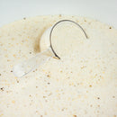 Nishikoi Clear Waters