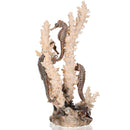 Oase biOrb Seahorses on Coral Aquarium Ornaments