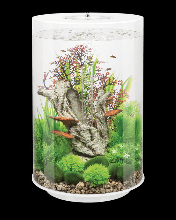 biOrb Tube 30L White Aquarium with MCR LED Lighting