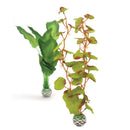 Oase biOrb Aquarium Silk Collection Plants