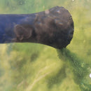 Oase PondoVac 3 Pond Vacuum Cleaner