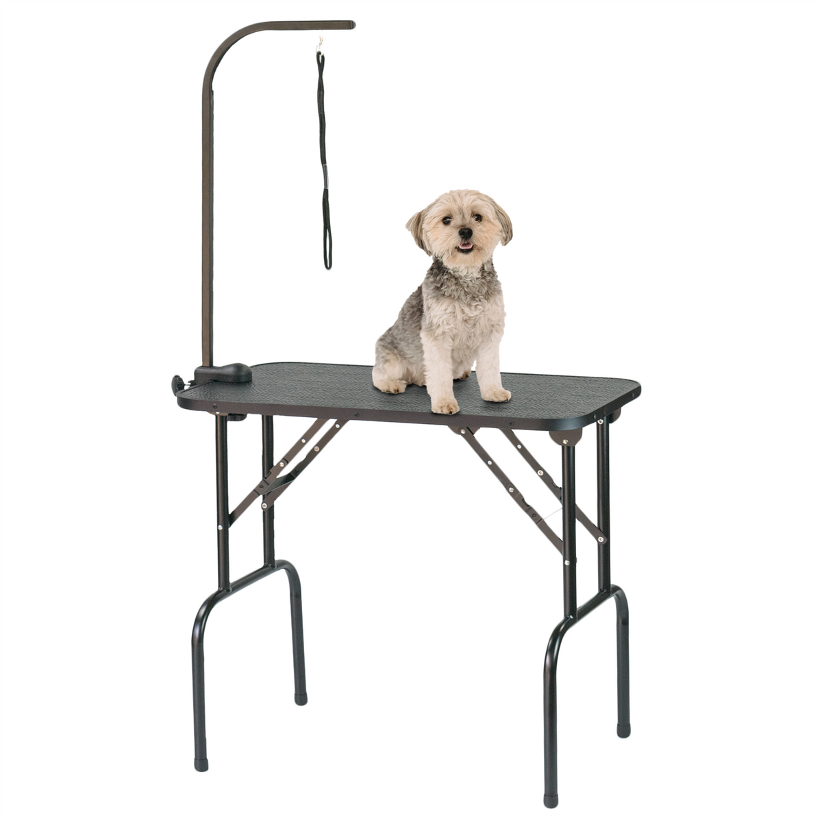 KCT Portable Dog Grooming Table Foldable with Leash Tether