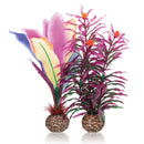 biOrb Parrot Feather Plant Set Aquarium Decoration