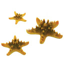 Oase biOrb Sea Stars 3 Pack Aquarium Decoration