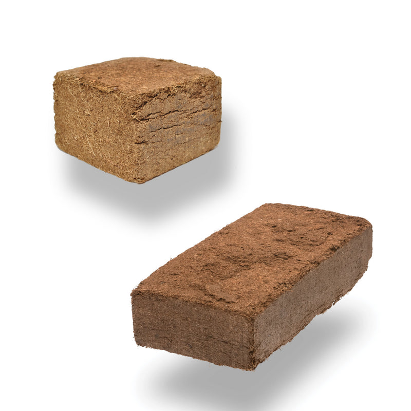 Oase biOrb Air Terrarium Replacement Coir Compost Brick