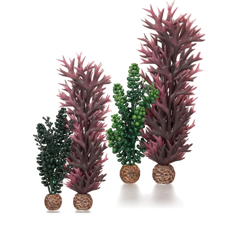 Oase biOrb Seapearls and Kelp Aquarium Decoration