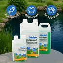 Banish Duckweed Pond Water Treatment
