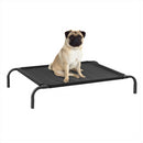 KCT Portable Elevated Pet Dog Beds