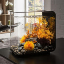 biOrb Flow 30L Aquarium Black with MCR Light