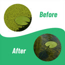 Banish BioActive Duckweed Pond Water Treatment