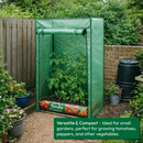 Garden Tomato Grow House Mini Greenhouse