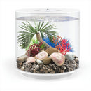 Oase biOrb Palm Tree Seychelles Aquarium Ornament