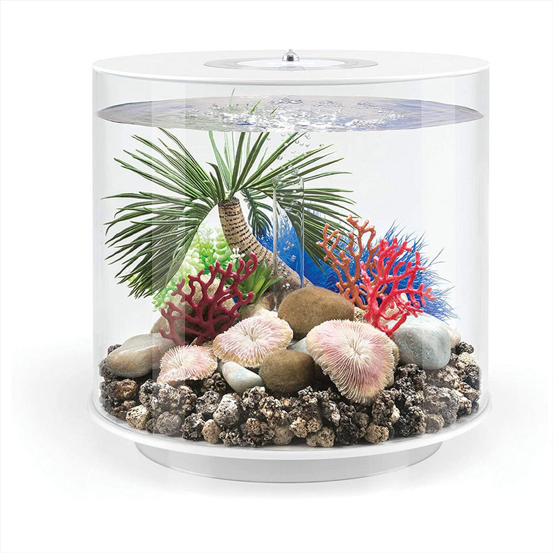 Oase biOrb Palm Tree Seychelles Aquarium Ornament