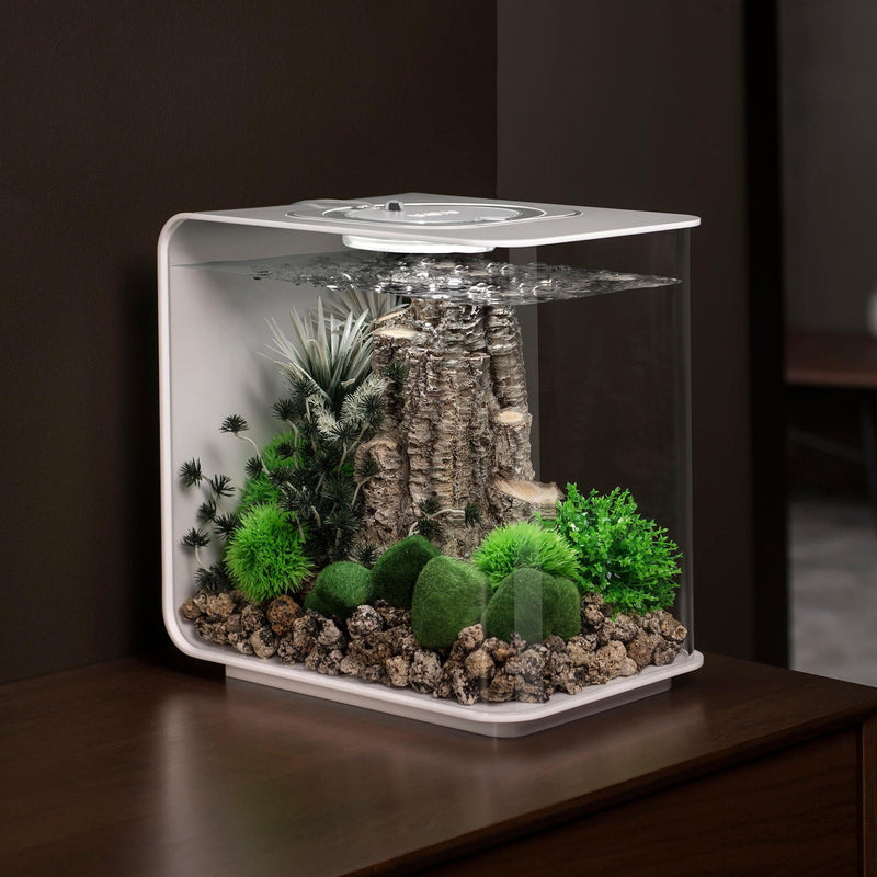 biOrb Silver Birch Sculpture Medium Aquarium Decoration