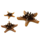 Oase biOrb Sea Stars 3 Pack Aquarium Decoration