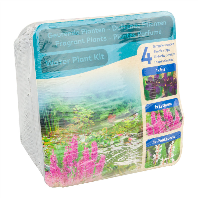 Moerings Complete Waterplant Kit