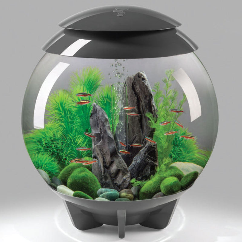 biorb fish tank accessories uk Oase biOrb Aquarium Marble Pebble Packs