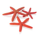 biOrb Starfish Set Aquarium Decorations