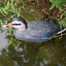 Pisces Decoy Mummy Floating Duck