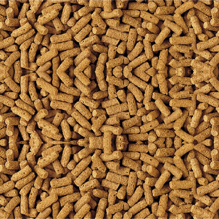 Tetra Floating Pond Sticks Fish Food