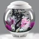 Oase biOrb Colour Reef Aquarium Decoration
