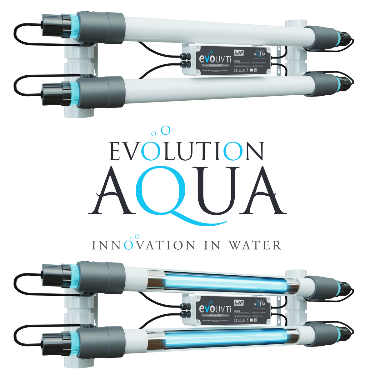 Evolution