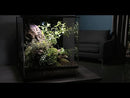 biOrb AIR 60L Terrariums