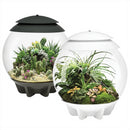 biOrb AIR 30L Acrylic Terrariums