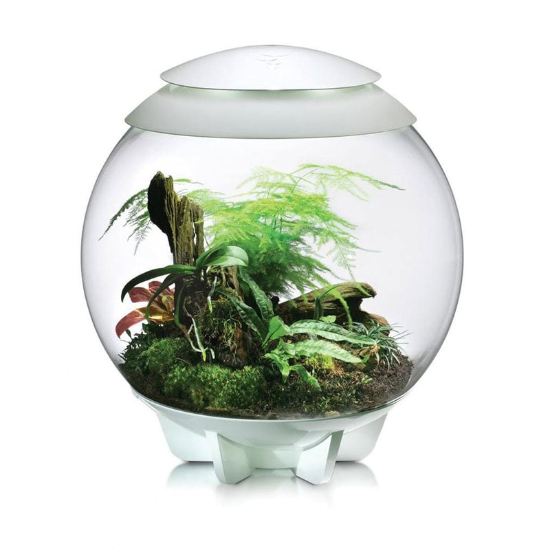 biOrb AIR 60L Terrariums