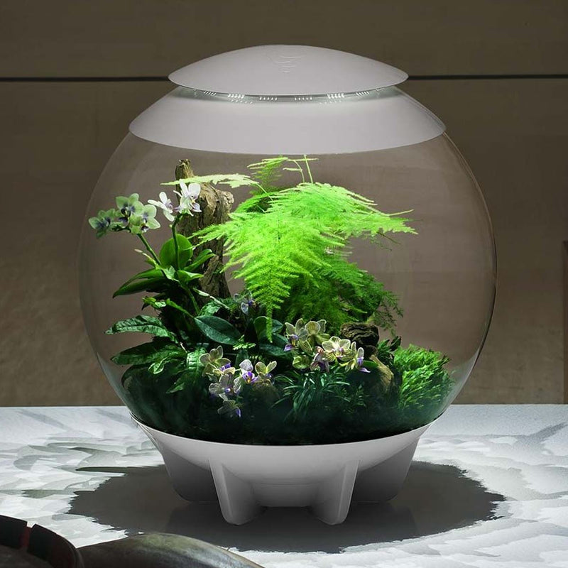 biOrb AIR 60L Terrariums