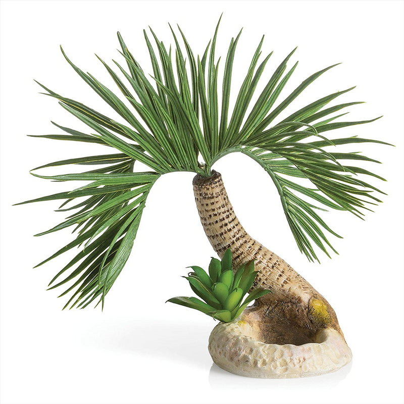 Oase biOrb Palm Tree Seychelles Aquarium Ornament