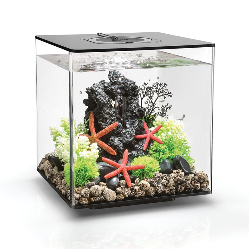 biOrb CUBE 30L Black Aquarium with MCR LED Lighting