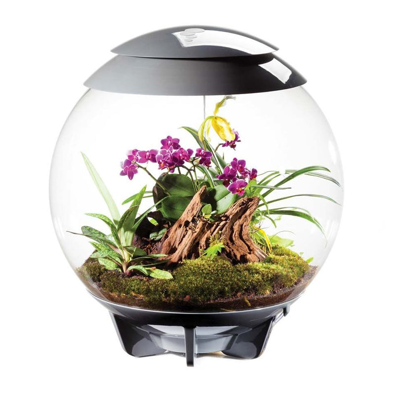 biOrb AIR 60L Terrariums