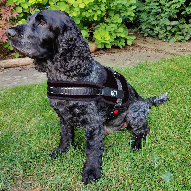 No Pull Padded Dog Harnesses