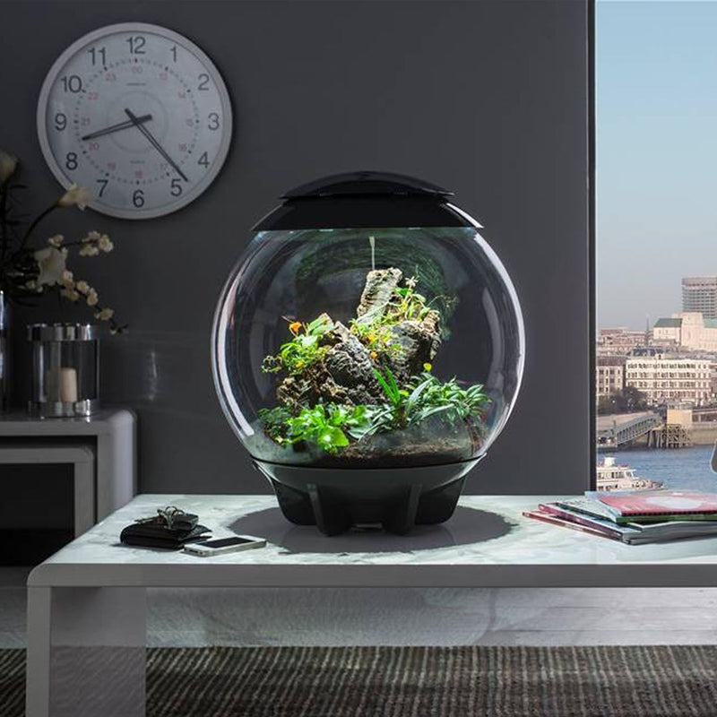 biOrb AIR 60L Terrariums