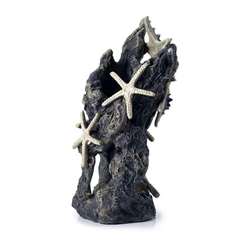 Oase biOrb Ornament Medium Starfish On Rock