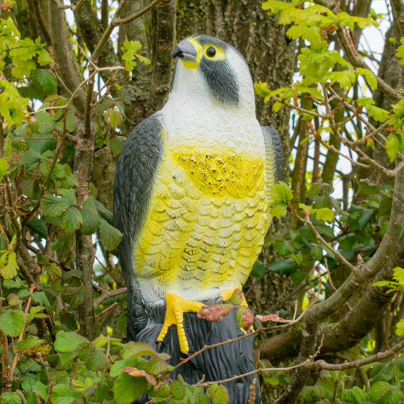 KCT Decorative Decoy Hawk