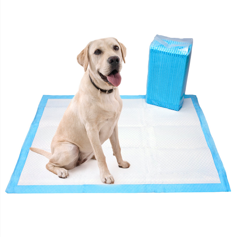 KCT Extra Large Puppy Pet Training Pads