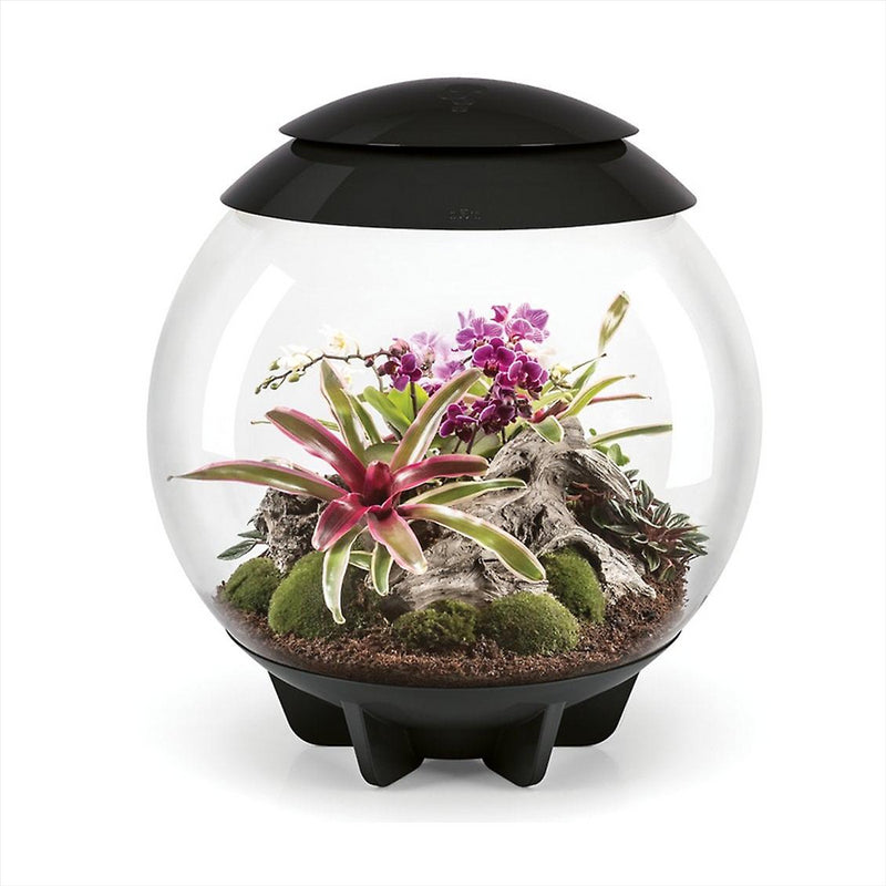 biOrb AIR 60L Terrariums