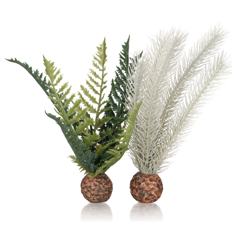 Oase biOrb Decorative Plant - Thistle and Fern Small