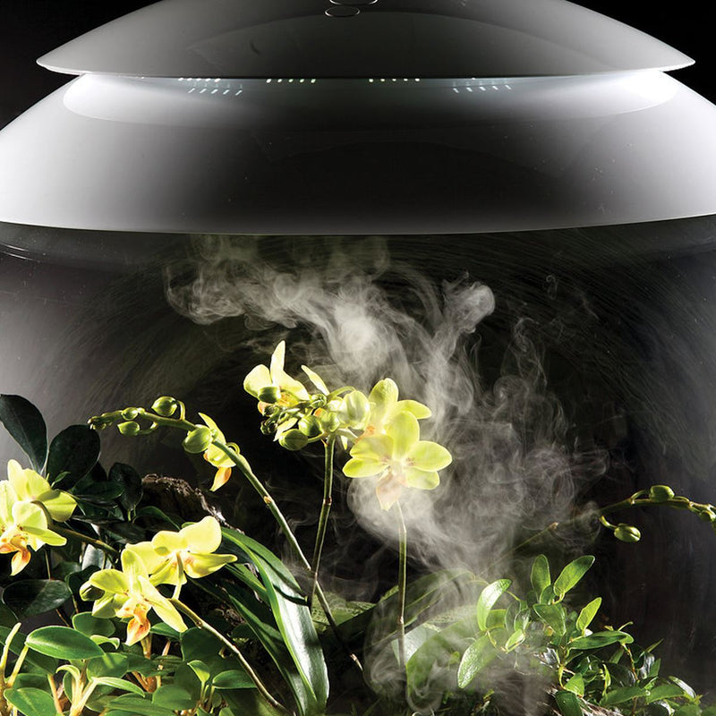 biOrb AIR 60L Terrariums