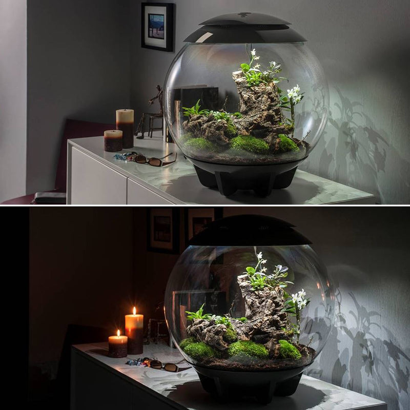 biOrb AIR 60L Terrariums